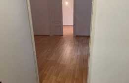 Apartament la casa de 2 camere, 52 mp, 111 mp teren, zona Ultracentrala