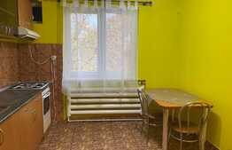 Apartament de 2 camere, semidecomandat, 46 mp utili, zona parc Petofi!