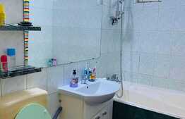 Apartament de 2 camere, semidecomandat, 46 mp utili, zona parc Petofi!