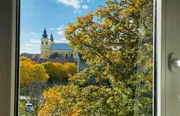 Apartament de 2 camere, semidecomandat, 46 mp utili, zona parc Petofi!