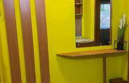 Apartament de 2 camere, semidecomandat, 46 mp utili, zona parc Petofi!