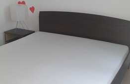 Apartament cu 3 camere , in zona Nufarul ! 