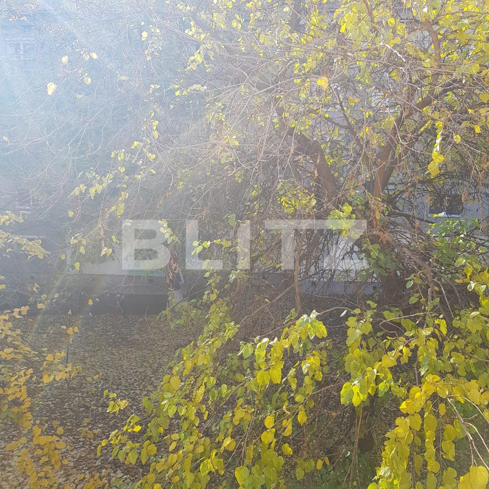 Apartament de vânzare 3 camere Iosia - 75701AV | BLITZ Oradea | Poza7