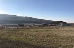 Teren de 2500 de mp de vanzare in Betfia!