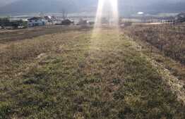 Teren de 2500 de mp de vanzare in Betfia!