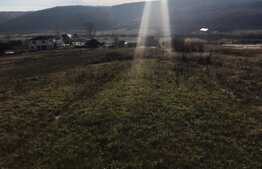 Teren de 2500 de mp de vanzare in Betfia!