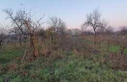 Casă în Biharia cu teren de 3500 mp, ultracentral, lângă Profi