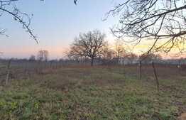 Casă în Biharia cu teren de 3500 mp, ultracentral, lângă Profi