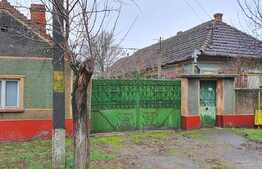 Casă în Biharia cu teren de 3500 mp, ultracentral, lângă Profi