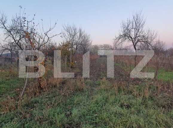 Casa de vânzare 3 camere Nord-Vest - 75773CV | BLITZ Oradea | Poza5