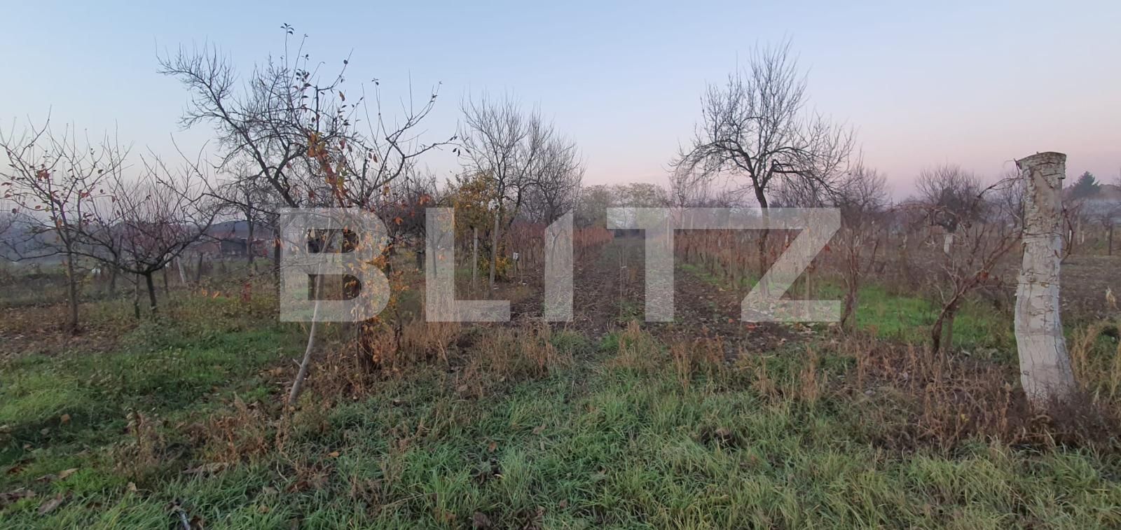 Casa de vânzare 3 camere Nord-Vest - 75773CV | BLITZ Oradea | Poza5