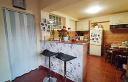 Casa de 60 mp utili, 252 mp teren, in Iosia 