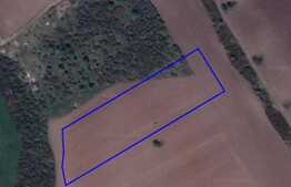 Oportunitate! Teren intravilan, 6119 mp, zona Sanmartin, 2 km de Oradea