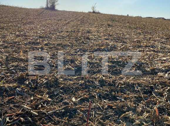 Teren de vânzare Exterior Vest - 75923TV | BLITZ Oradea | Poza2