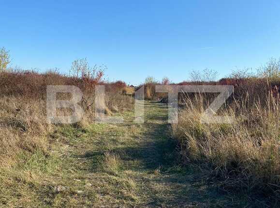 Teren de vânzare Exterior Vest - 75923TV | BLITZ Oradea | Poza3