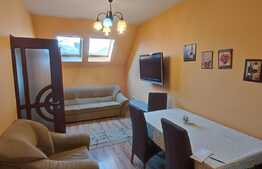 Apartament de 2 camere, 53 mp, in zona Cantemir