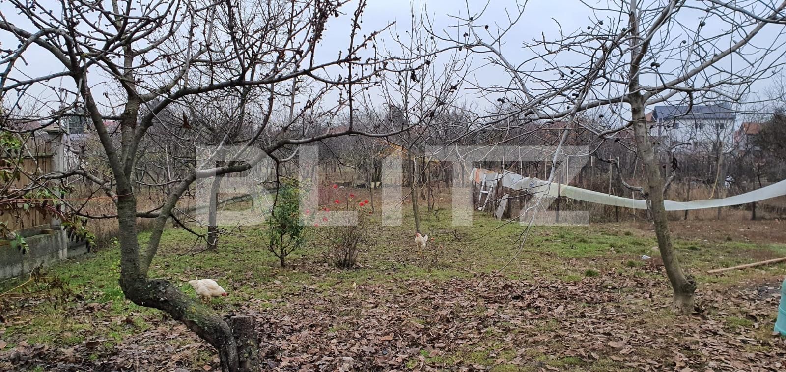 Casa de vânzare 4 camere Episcopia Bihorului - 76101CV | BLITZ Oradea | Poza3