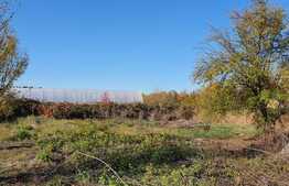 Casă de 3 camere și 1450 mp teren, în Oșorhei