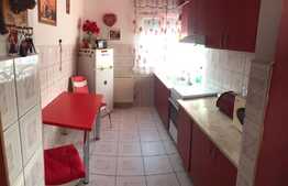 Apartament 2 camere tip X mare, zona Nufarul!