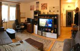 Apartament de 2 camere, semidecomandat, 46 mp, zona Garii!