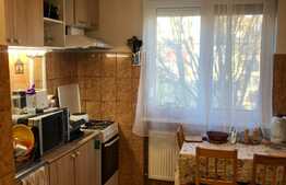 Apartament de 2 camere, semidecomandat, 46 mp, zona Garii!