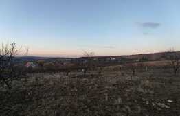 Teren intravilan, 2800 mp, zona Gheorghe Doja