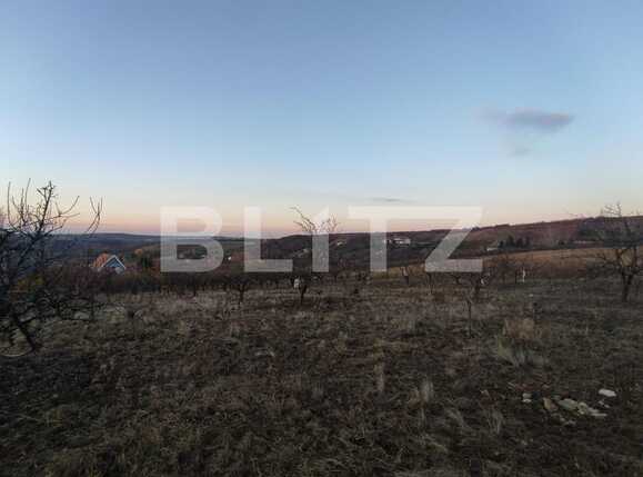 Teren de vânzare Dealuri Oradea - 76416TV | BLITZ Oradea | Poza3
