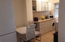 Garsoniera cocheta in zona Cantemir