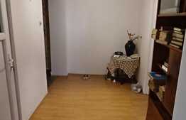 Apartament de 2 camere, tip C, 54 mp, zona Decebal