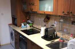 Apartament 2 camere, 47 mp, loc de parcare, Prima Nufarul