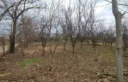 Teren intravilan, 973 mp, Chisirid