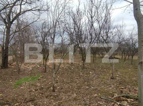 Teren de vânzare Exterior Sud - 77877TV | BLITZ Oradea | Poza3