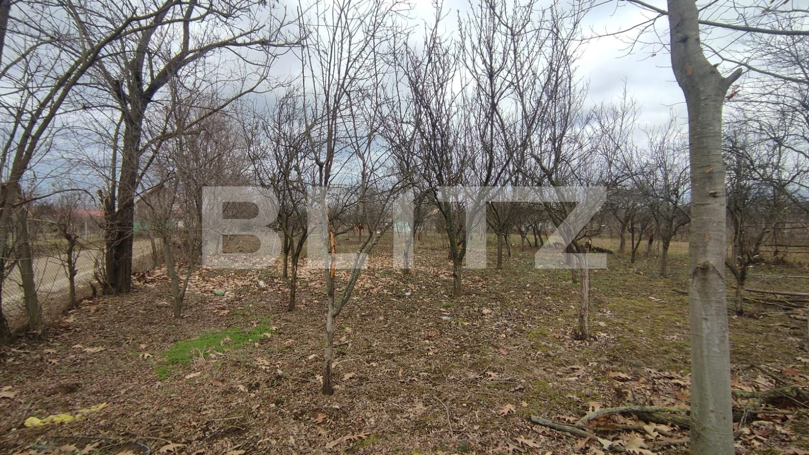 Teren de vânzare Exterior Sud - 77877TV | BLITZ Oradea | Poza3