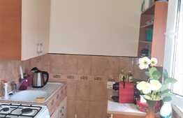 Garsoniera de vanzare, 23 mp, mobilata, zona Parc Olosig