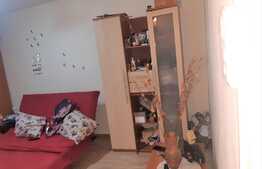 Garsoniera de vanzare, 23 mp, mobilata, zona Parc Olosig