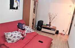 Garsoniera de vanzare, 23 mp, mobilata, zona Parc Olosig