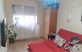 Garsoniera de vanzare, 23 mp, mobilata, zona Parc Olosig