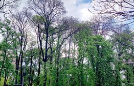 Apartament de 2 camere, zona Ultracentrala, etaj 1, parcare