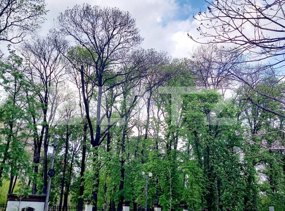 Apartament de vânzare 2 camere Ultracentral - 77979AV | BLITZ Oradea | Poza1