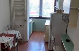 Garsoniera etajata, 29 mp, mobilata, zona Rogerius