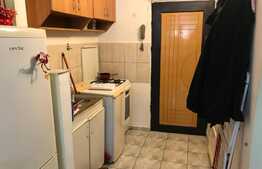 Garsoniera de 21 mp, mobilata si utilata, zona Rogerius