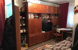 Garsoniera de vanzare, 21 mp, zona Rogerius