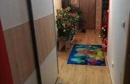 Apartament de 3 camere, etaj intermediar, decomandat, Rogerius