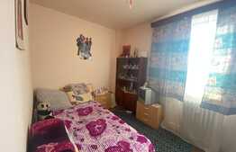Apartament 4 camere, decomandat, priveliste superba, Sânmartin!