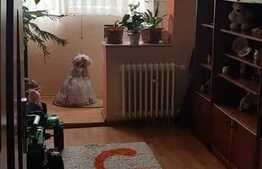 Apartament de 3 camere, decomandat, etaj intermediar, Rogerius