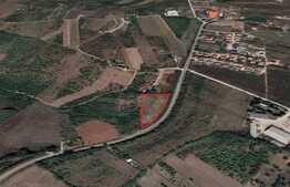Oportunitate! Teren extravilan, 5000 mp, zona Episcopia