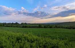 Oportunitate! Teren extravilan, 5000 mp, zona Episcopia