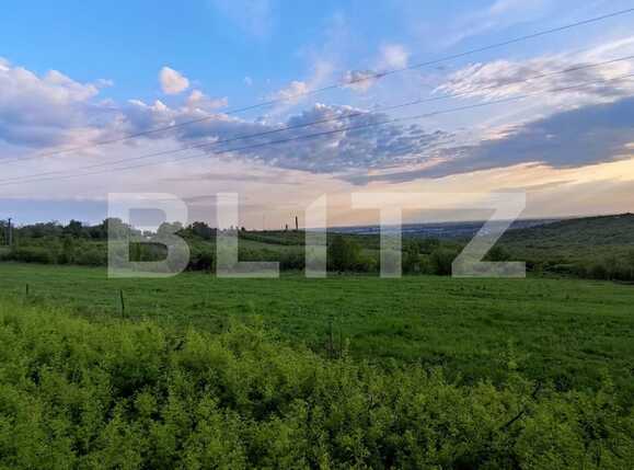 Teren de vânzare Paleu - 79091TV | BLITZ Oradea | Poza1