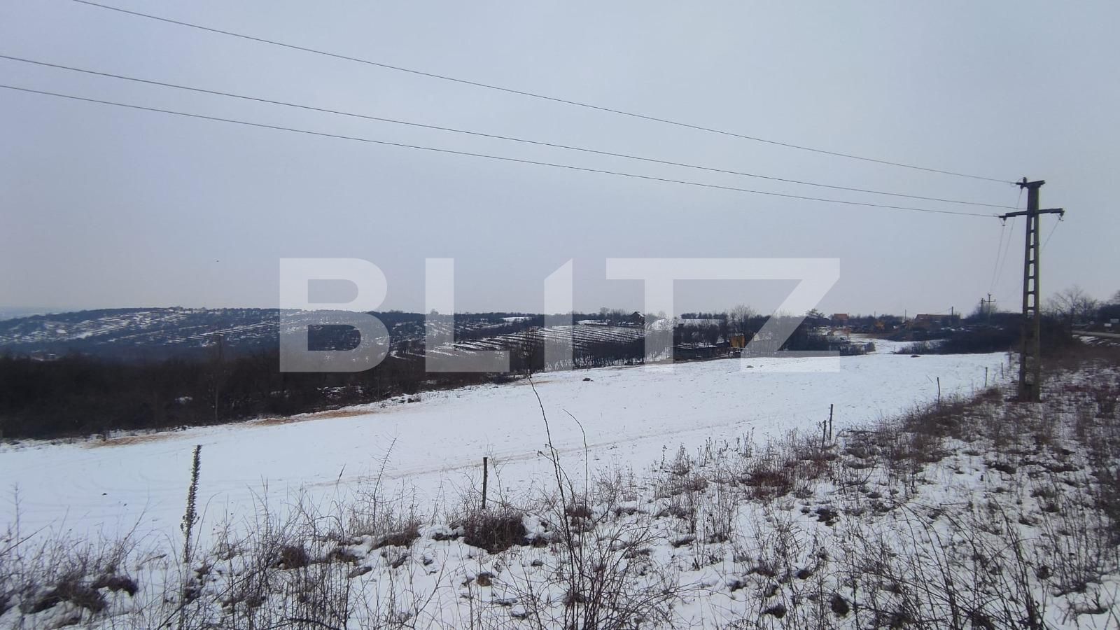 Teren de vânzare Paleu - 79091TV | BLITZ Oradea | Poza3