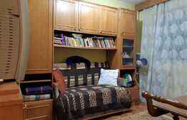 Apartament de 2 camere, 46 mp, semidecomandat, zona Calea Aradului!